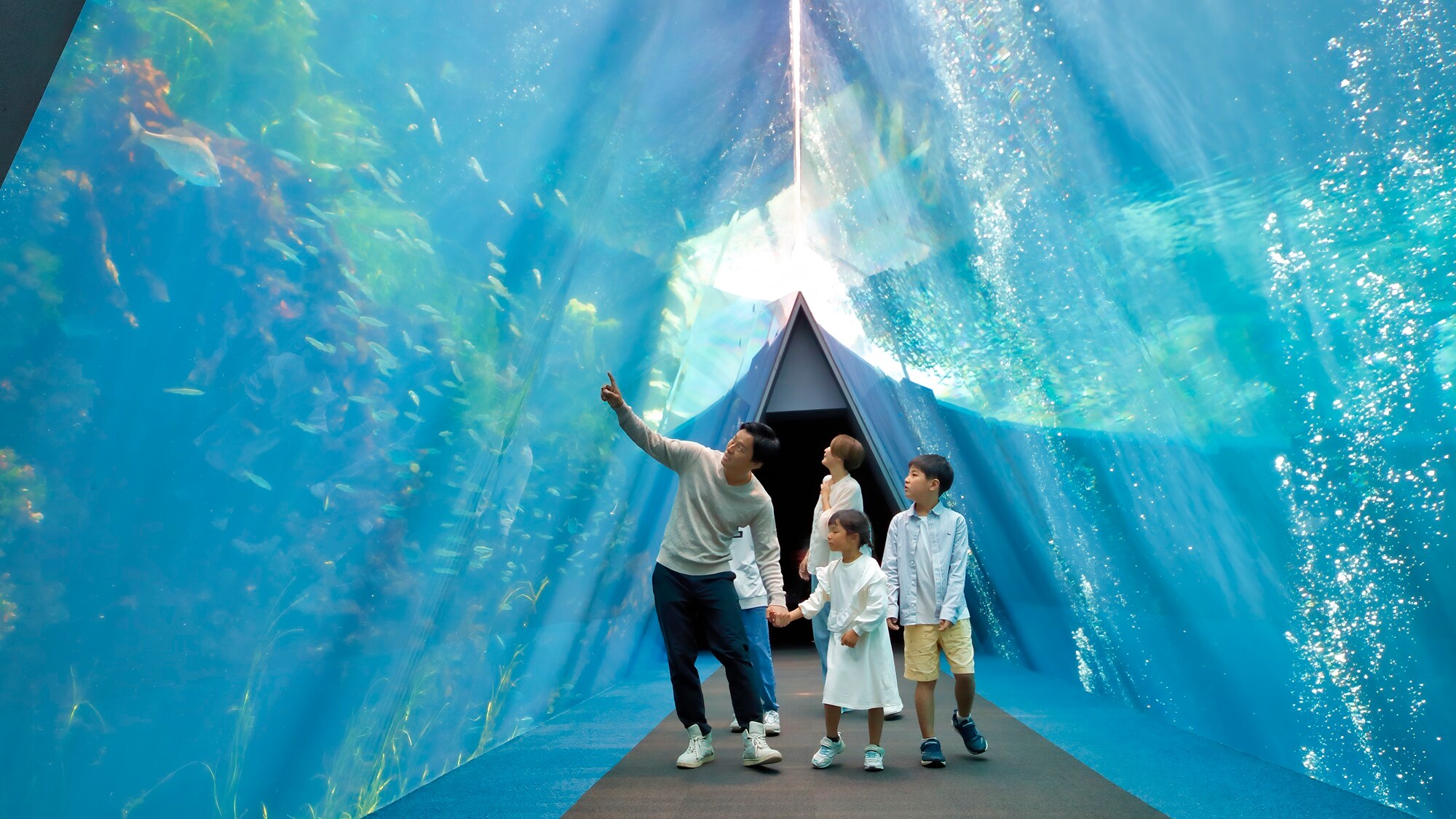 *Aquarium