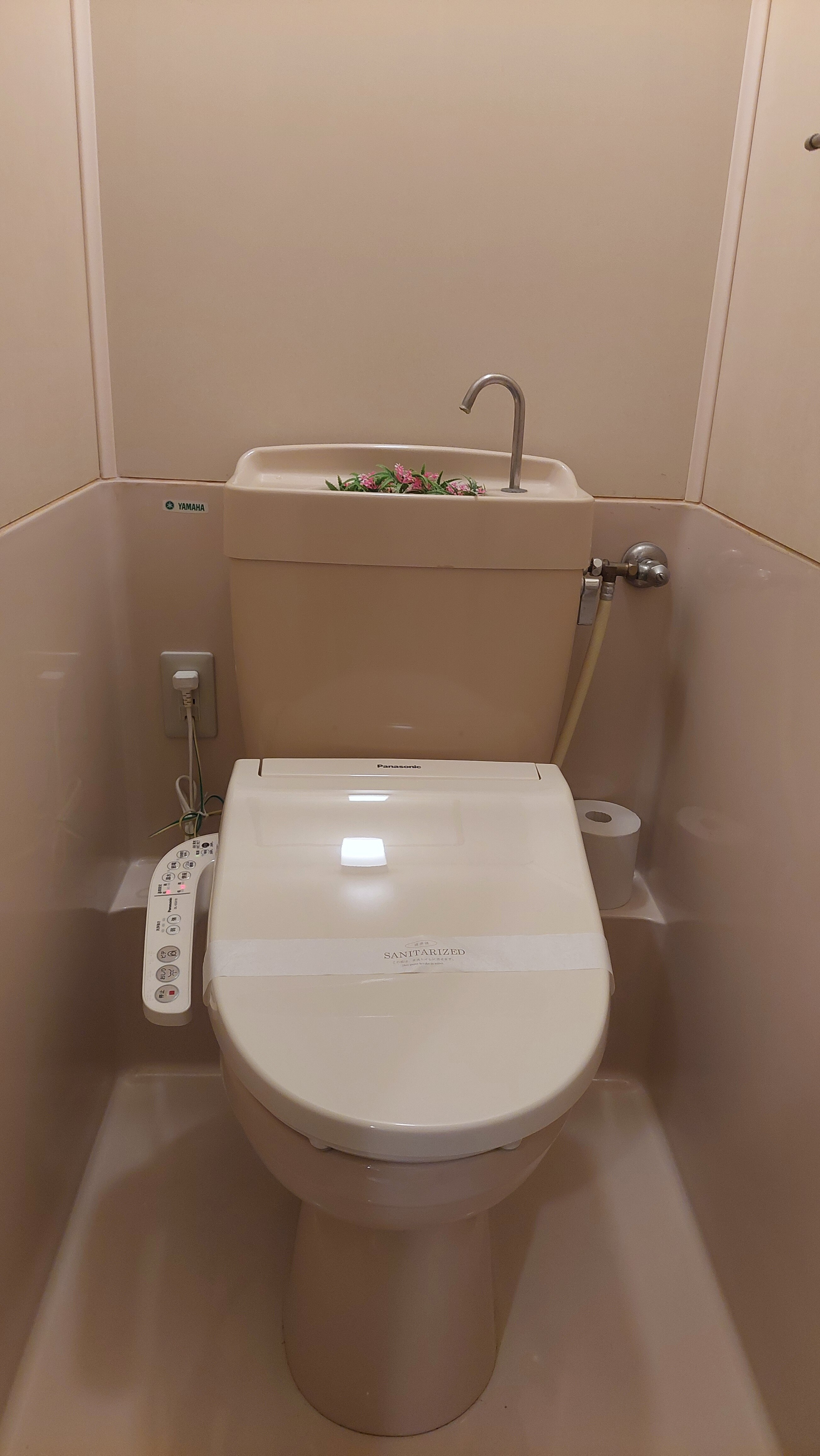 Twin toilet