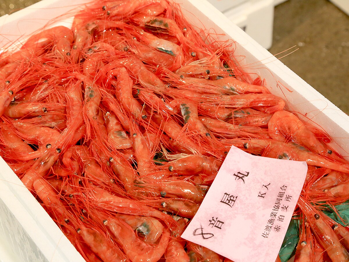 海鲜菜