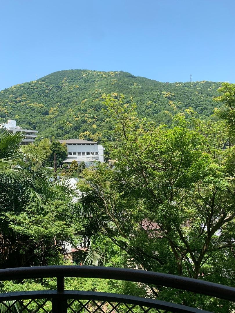 IMG_2399.jpeg