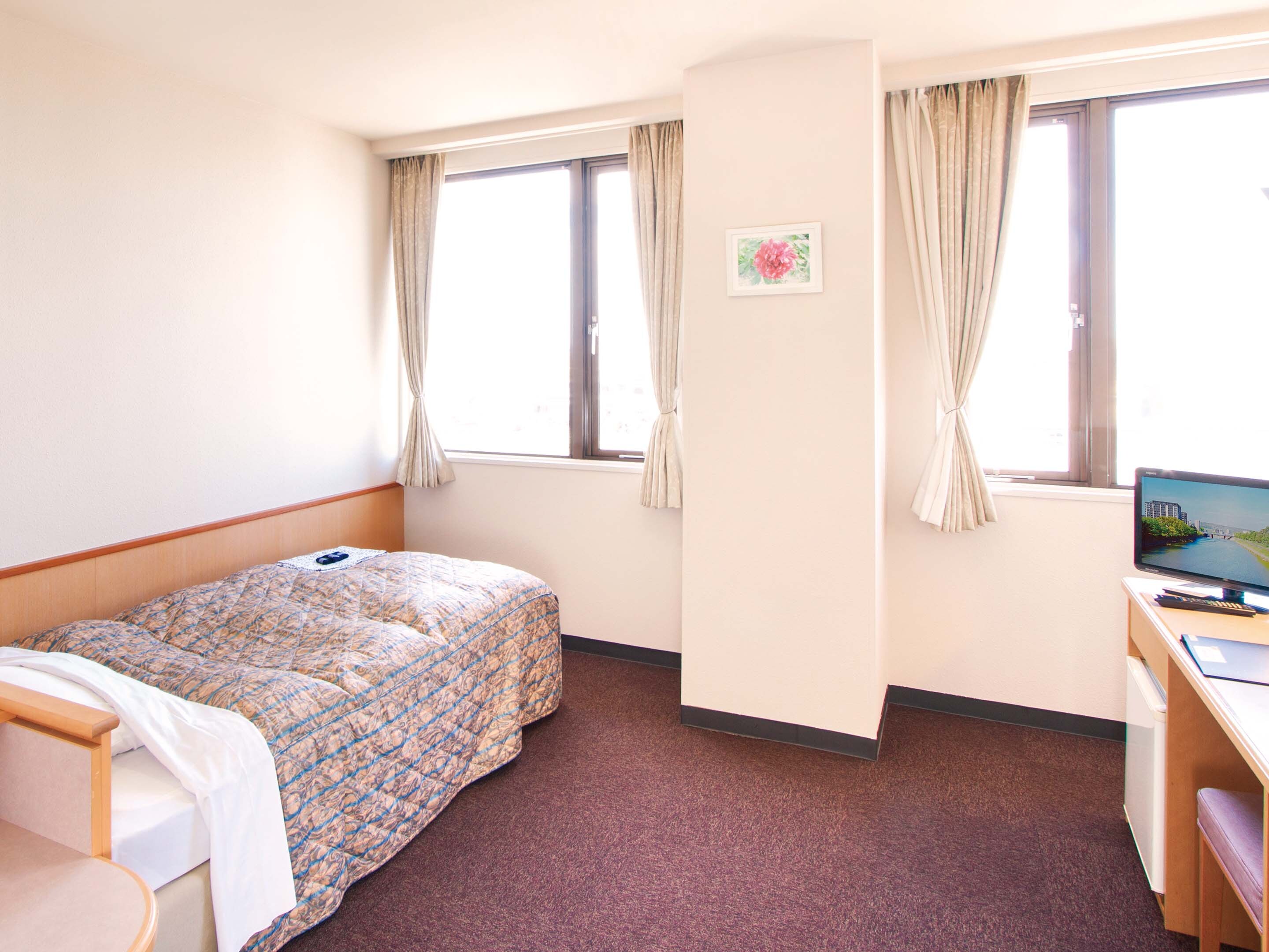 Spacious Single Room