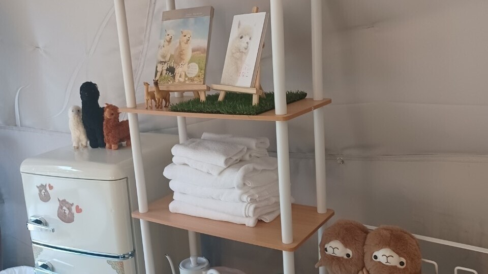 알파카 컨셉룸