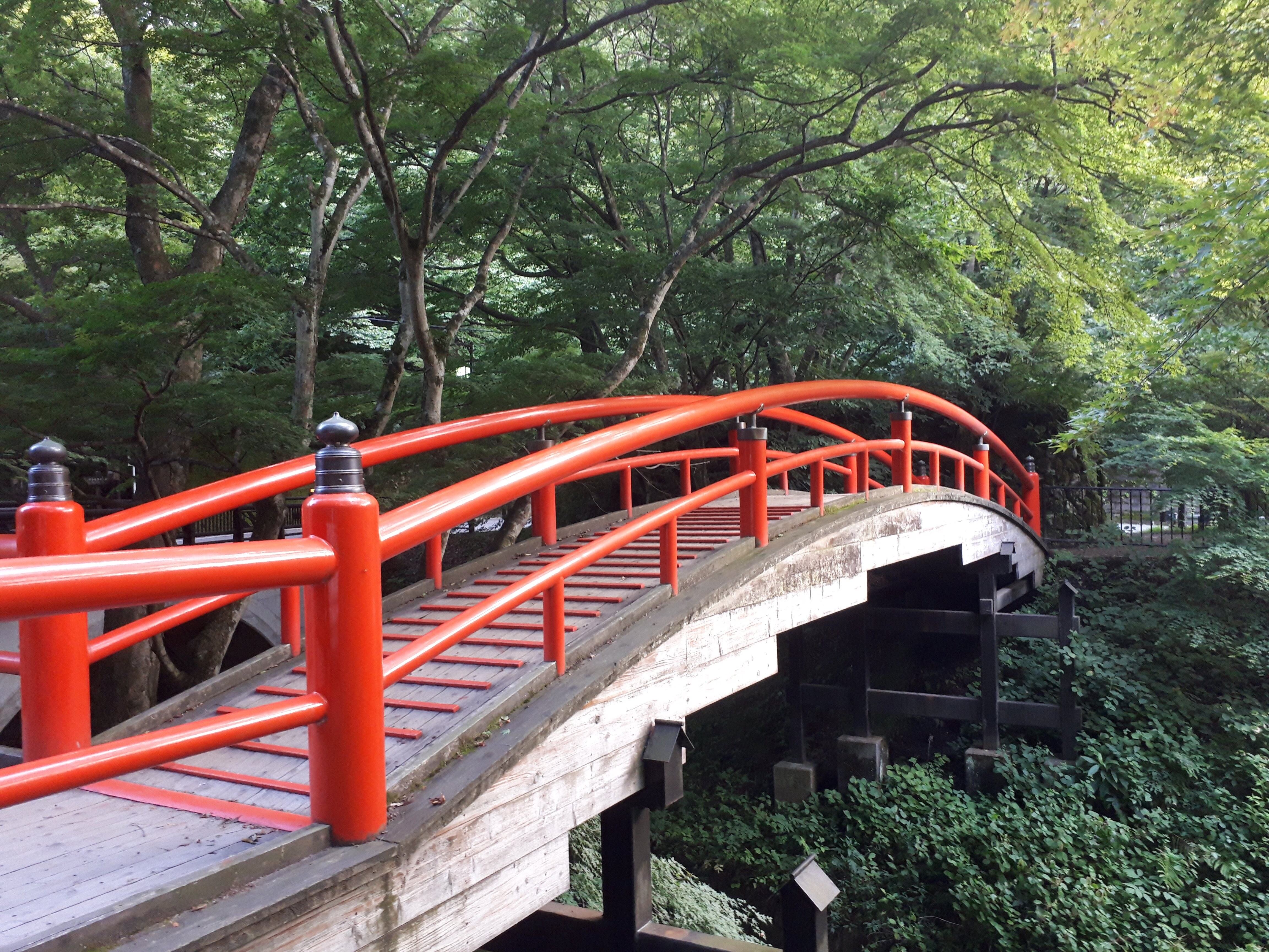 Kajika Bridge in summer