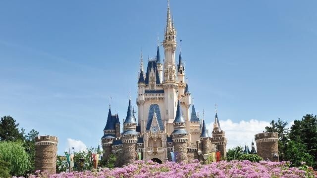 도쿄 디즈니랜드(R)