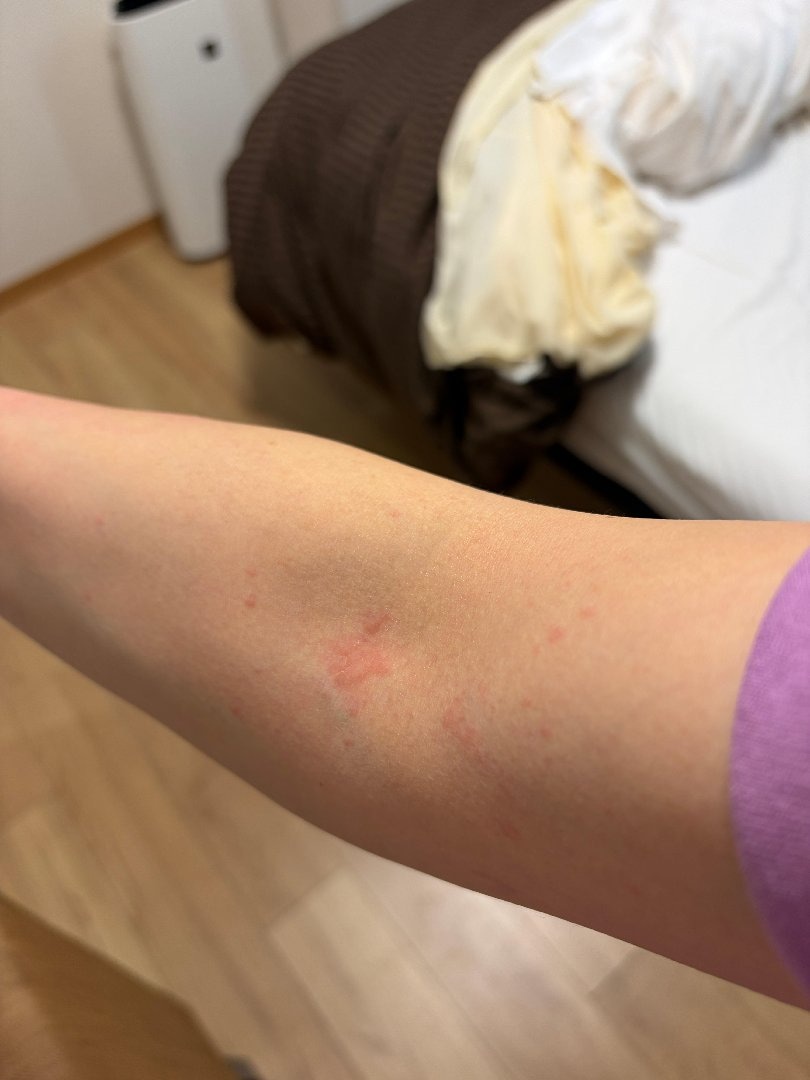 04E218C5-F386-413B-BF0E-DF45F6F51F0C.jpeg
