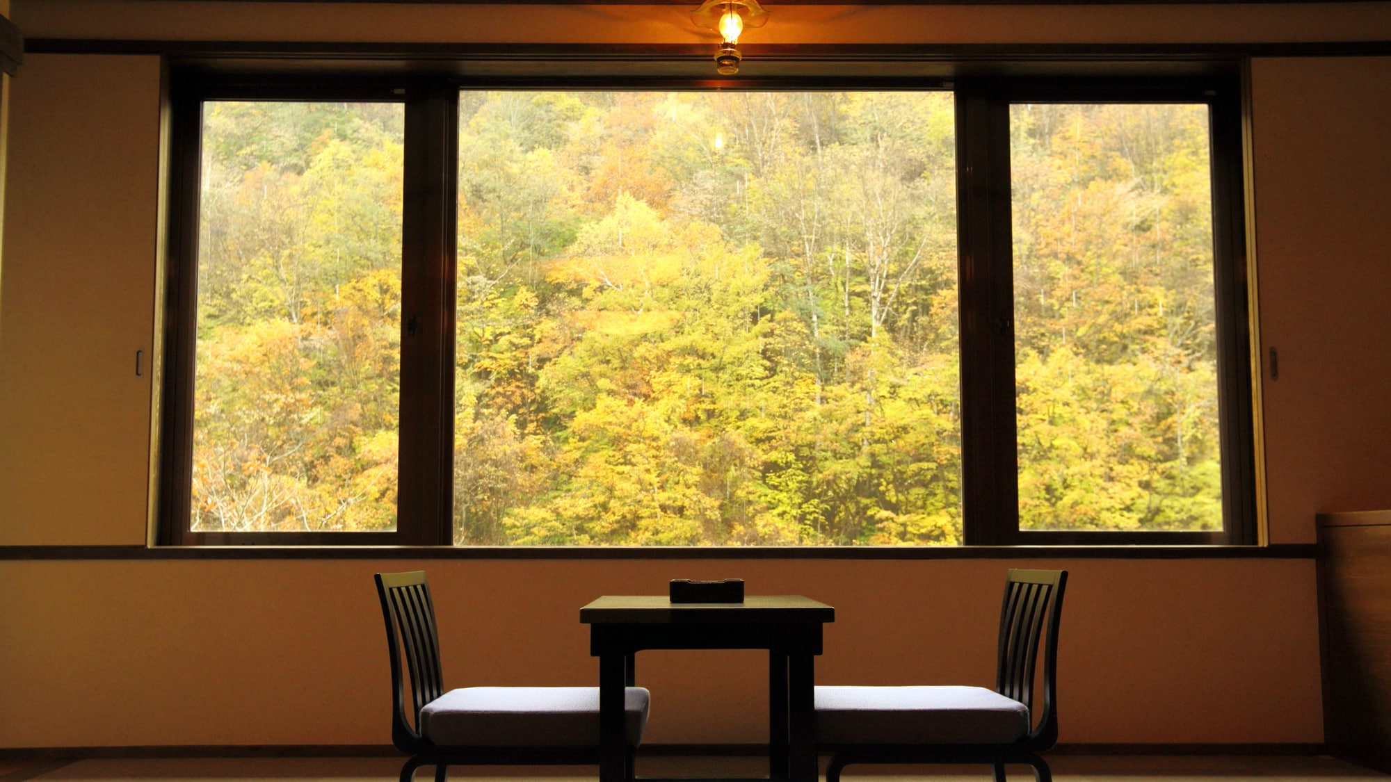 * Japanese-style room in the new building (with bath and toilet) You can enjoy the picturesque autumn leaves from your room during the autumn leaves season.