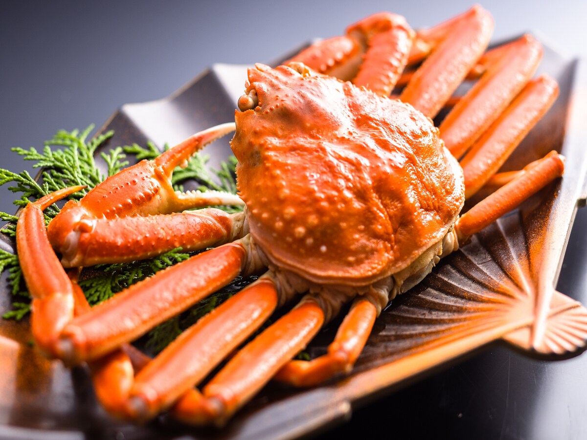 此方案包含一隻螃蟹作為紀念品♪