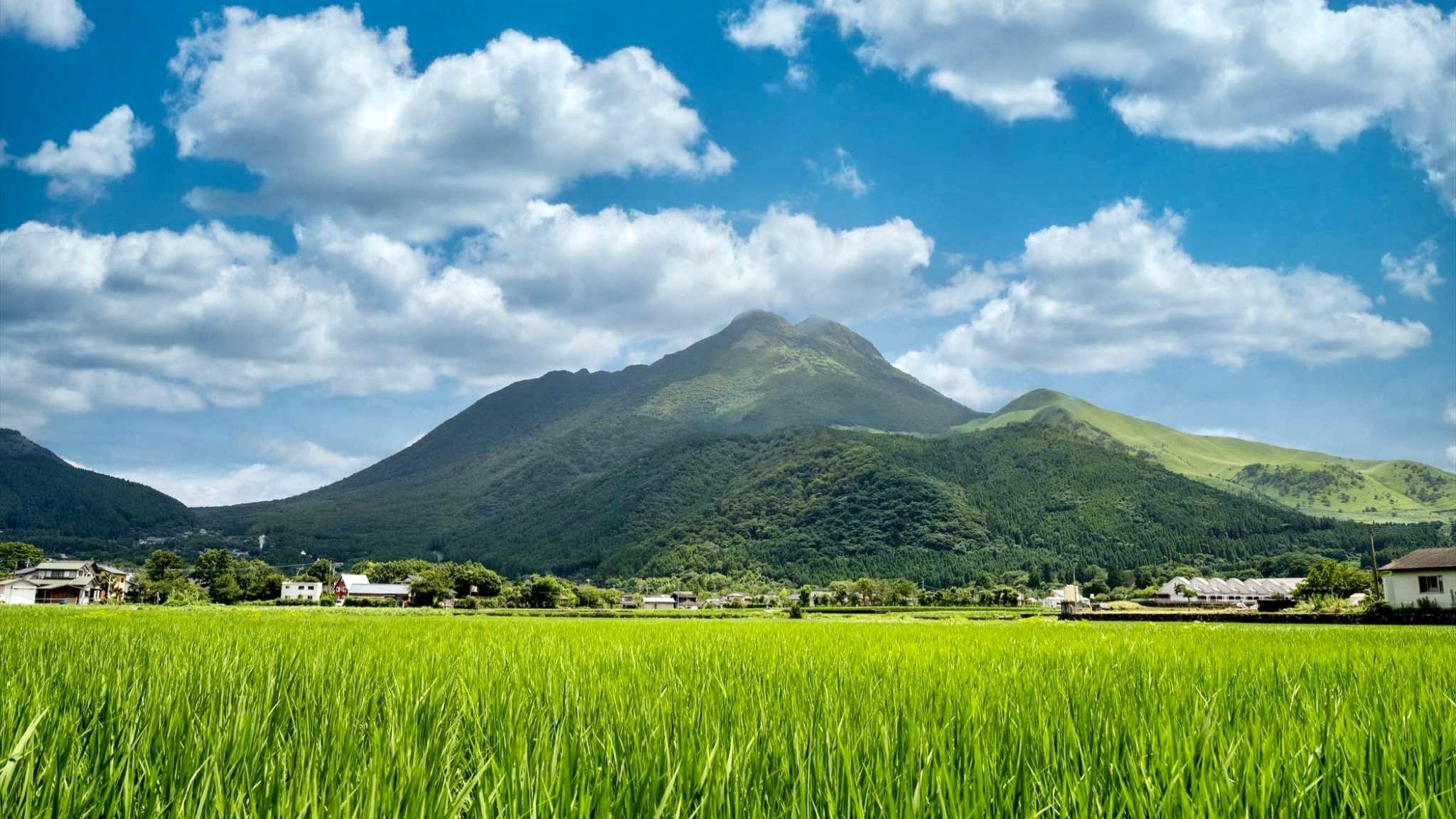 牧場房屋/景觀
