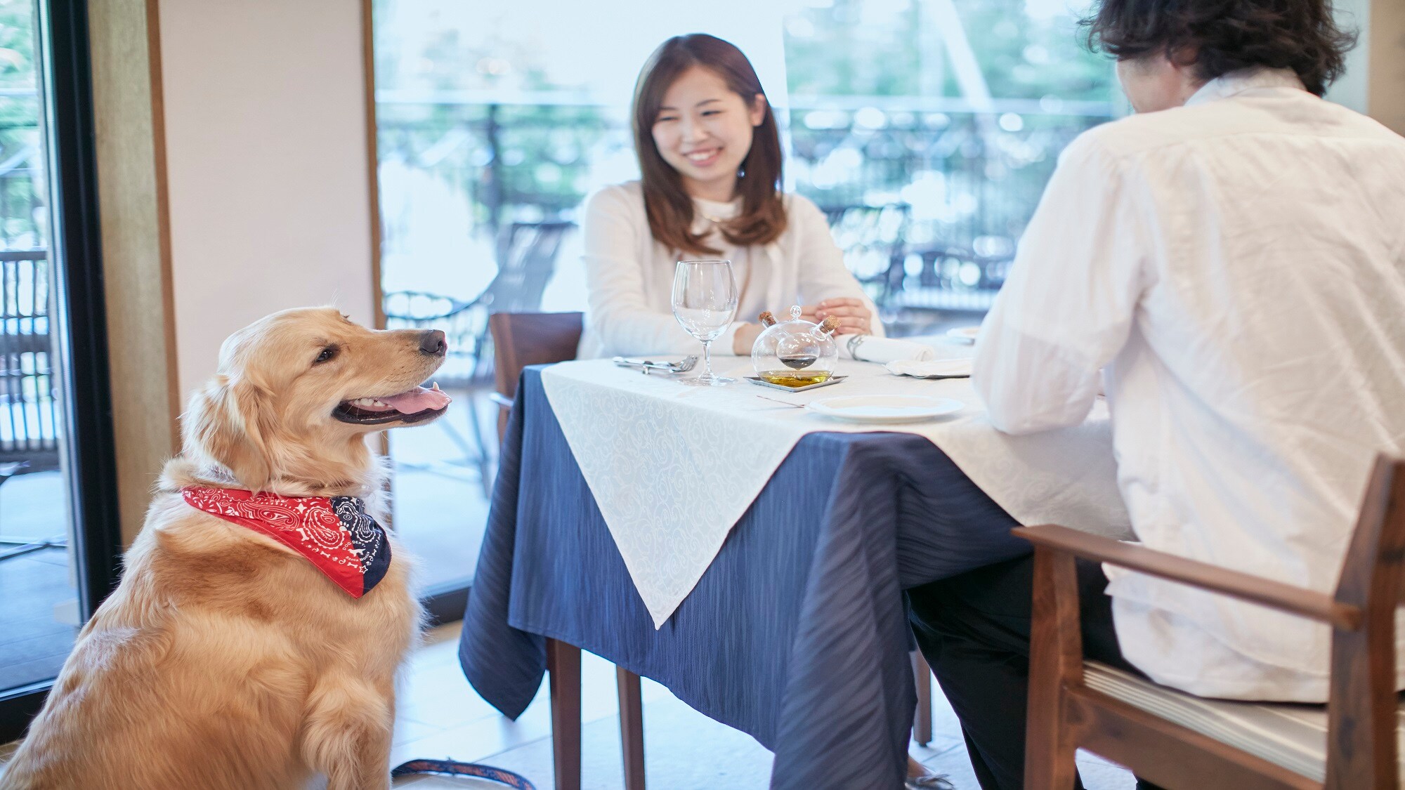 [Restaurant] Dogs allowed