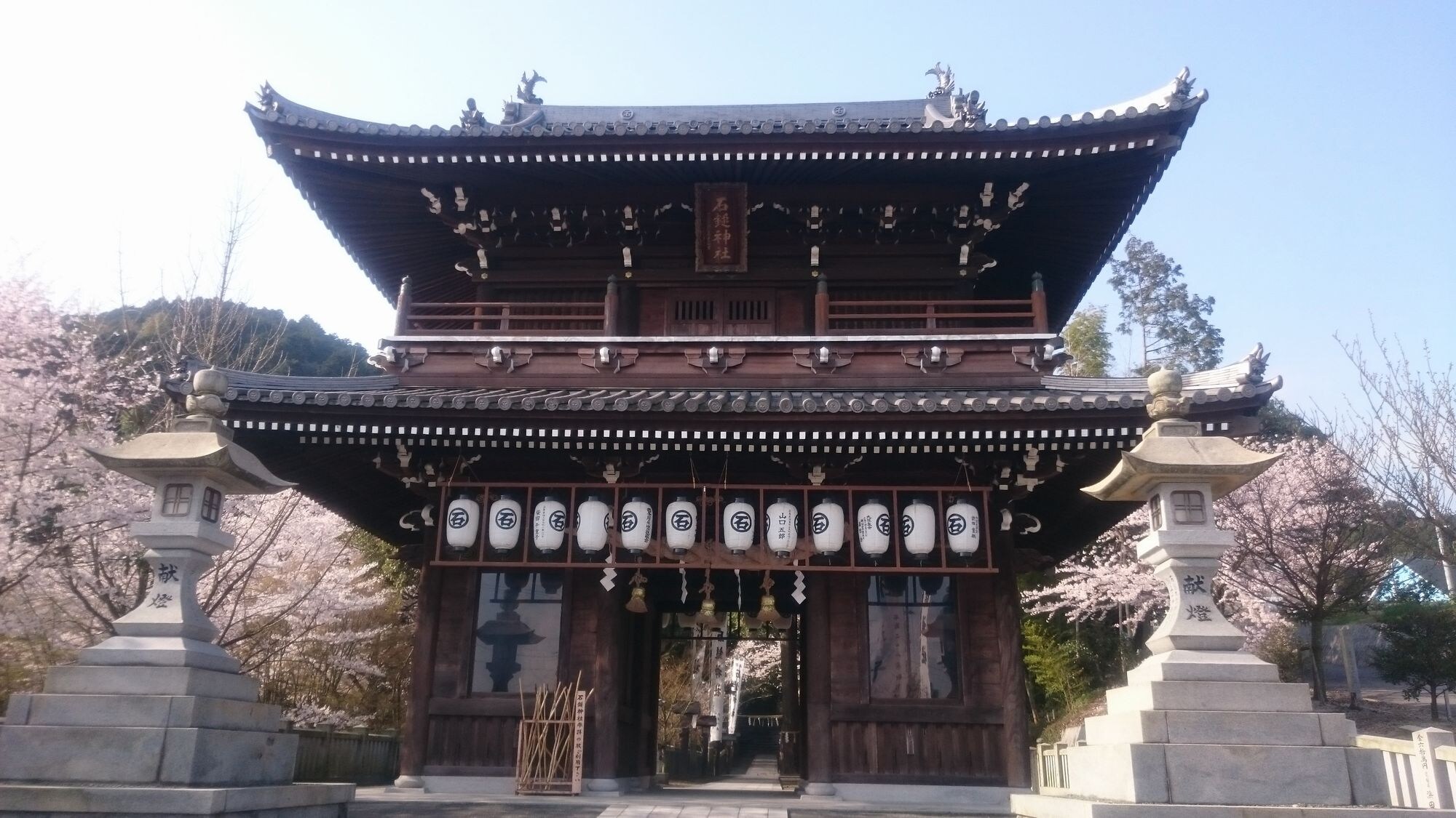 Ishizuchi Shrine Gate during the cherry blossom season