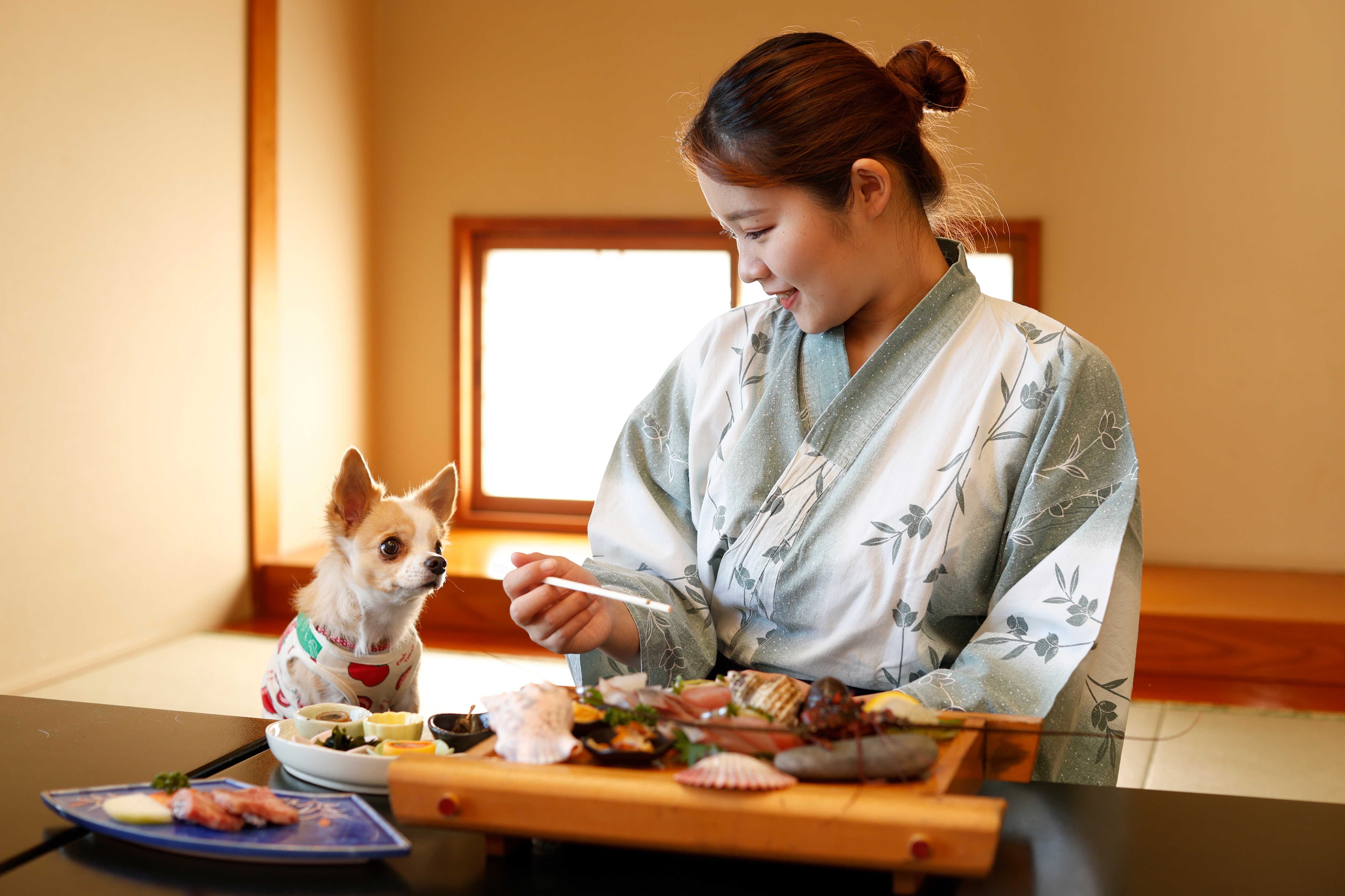 Eat your meals with your pet. How nice!