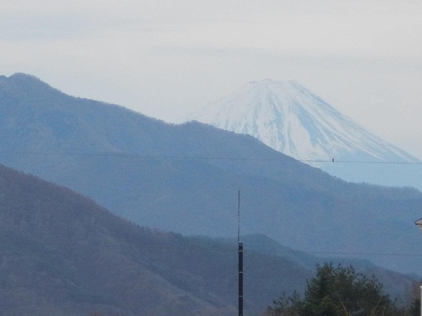 DSCN1076.JPG