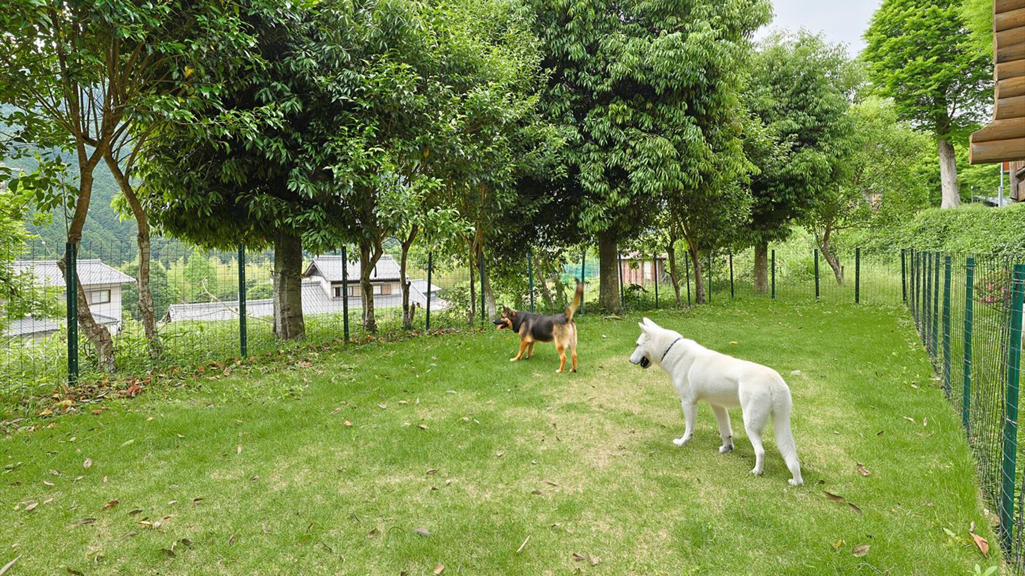 [可攜帶寵物] 小屋 | 1R + 閣樓，遛狗處