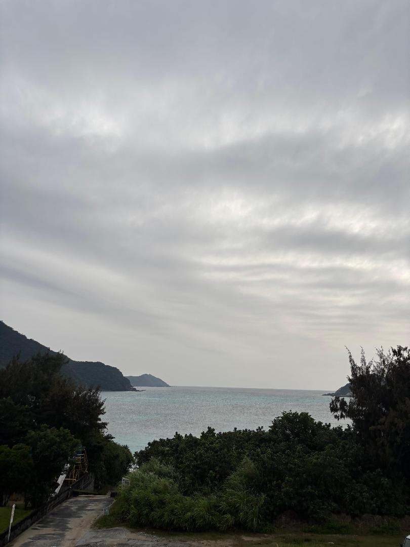 IMG_7775.jpeg