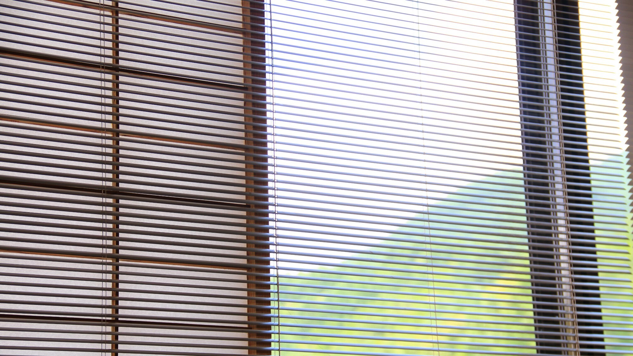 □★Guest Room_Shirakaba