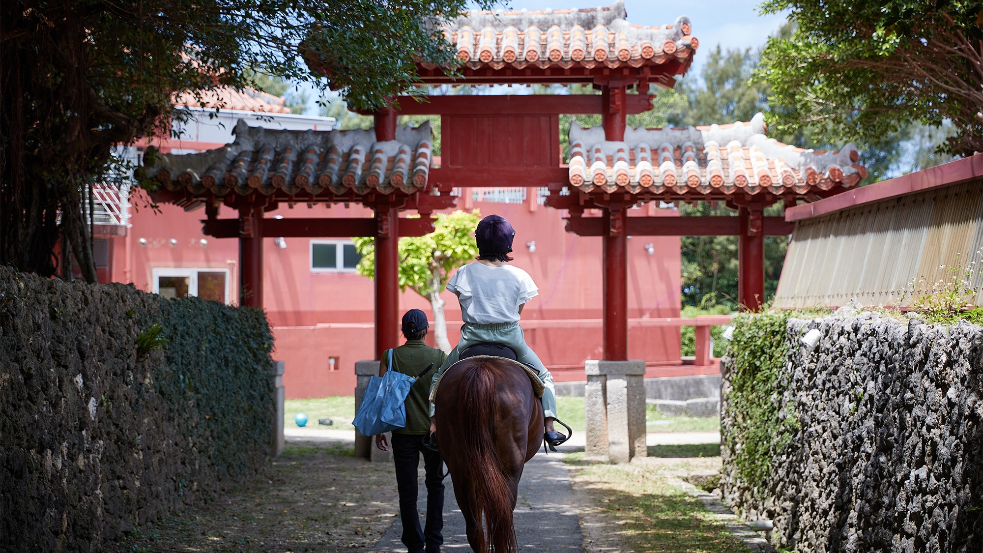 Okinawa Riding Club (pengalaman menunggang kuda)