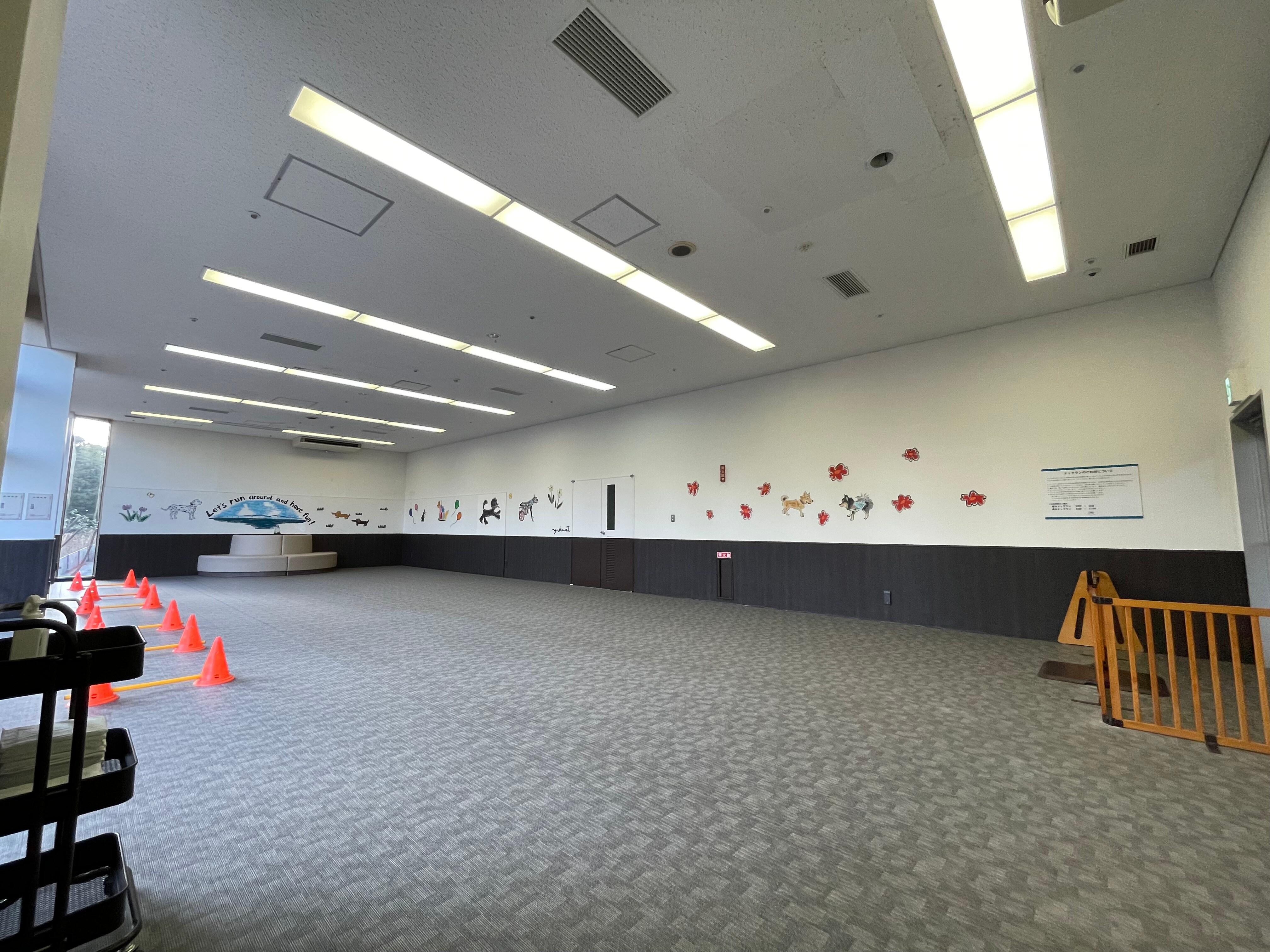 Indoor dog run