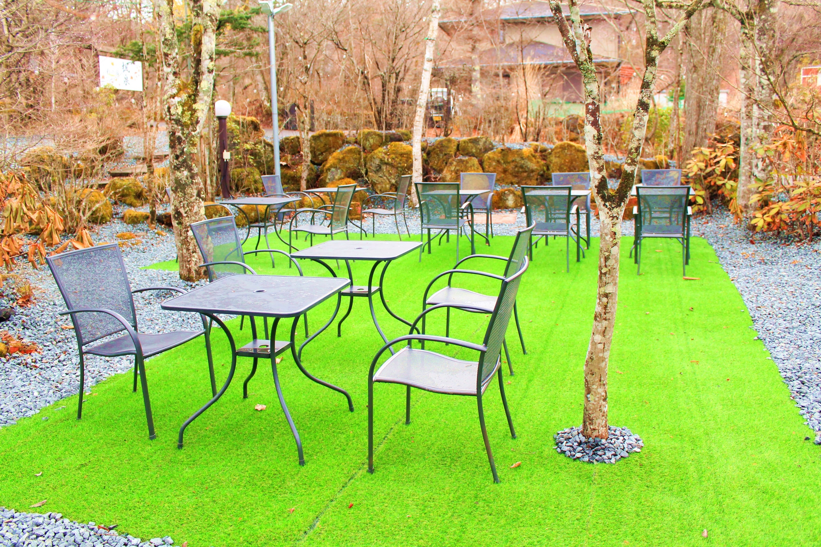 Garden and barbecue area