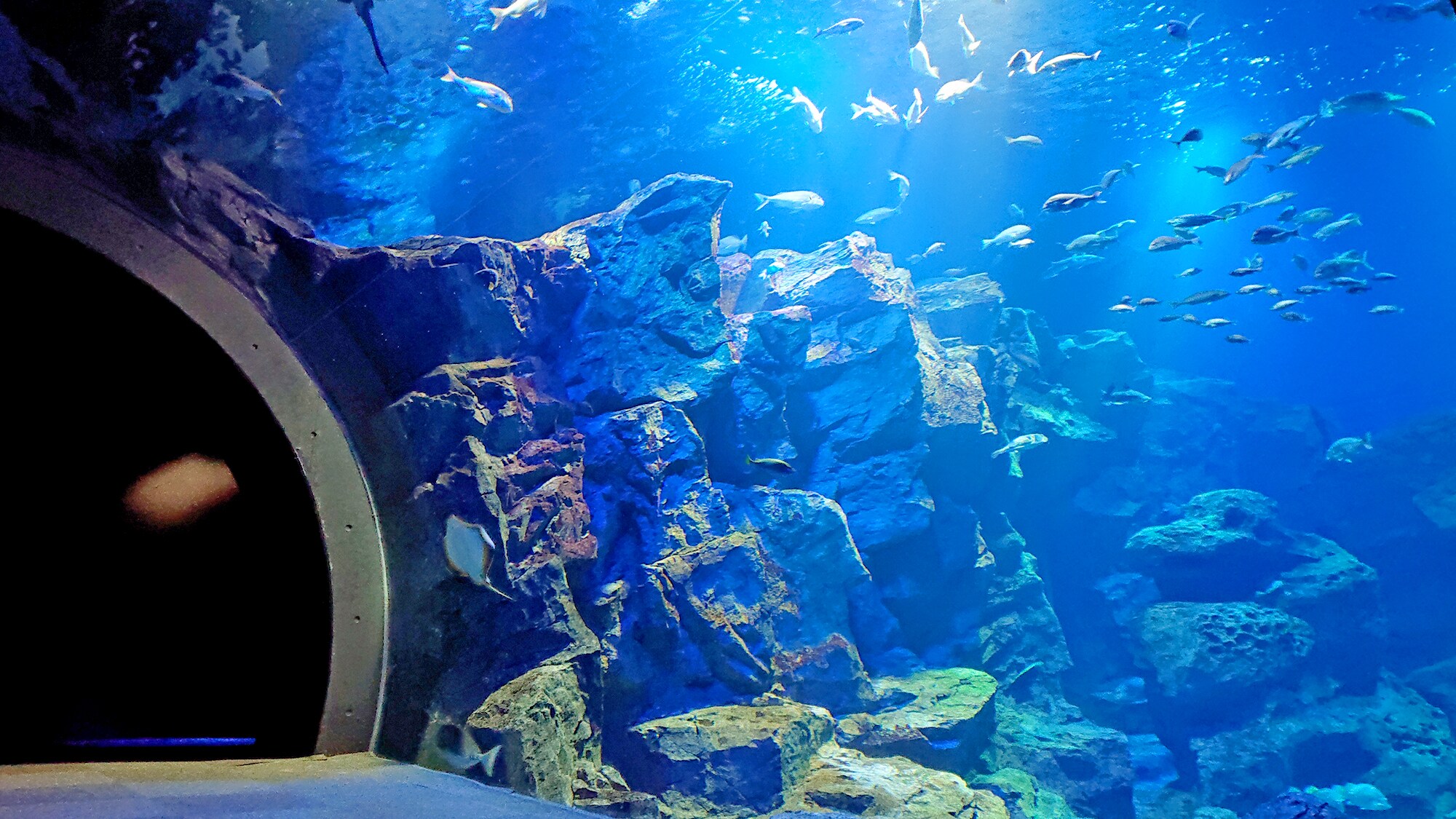 男鹿水族館 GAO