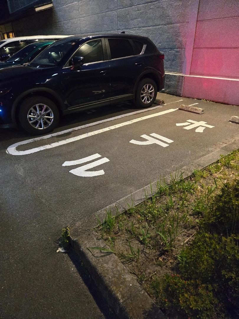 1000010194.jpg