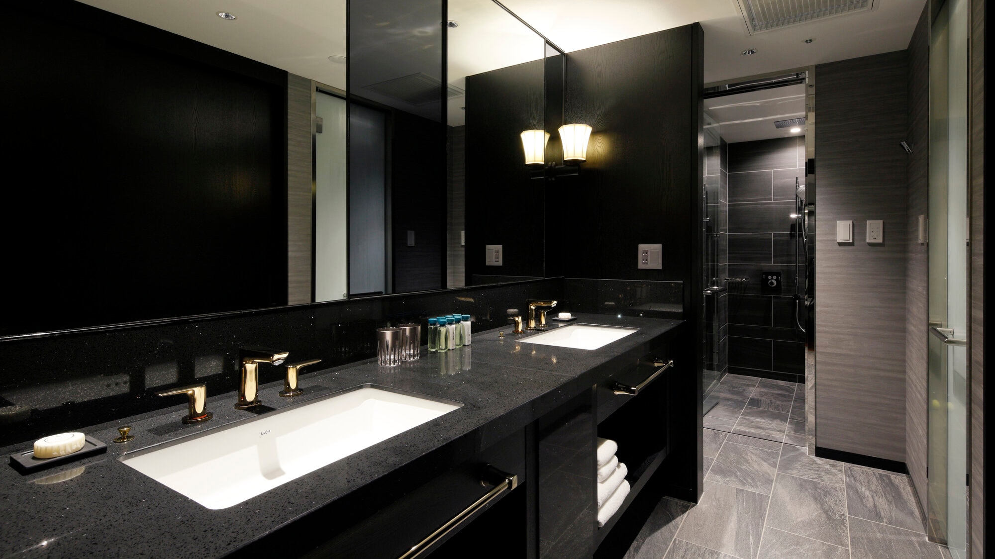 Bathroom/Suite Room with Club Lounge Access