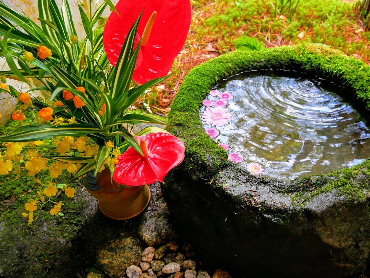Một ngày ở Tsukubai