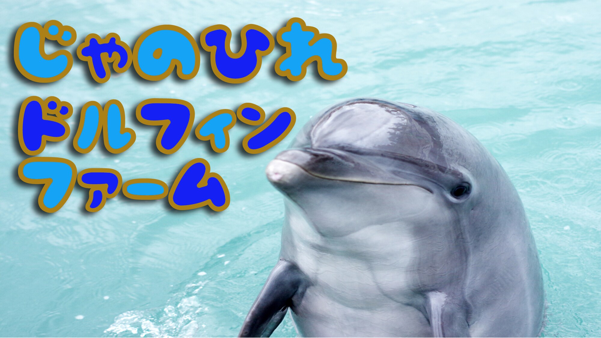Janohire 海豚農場