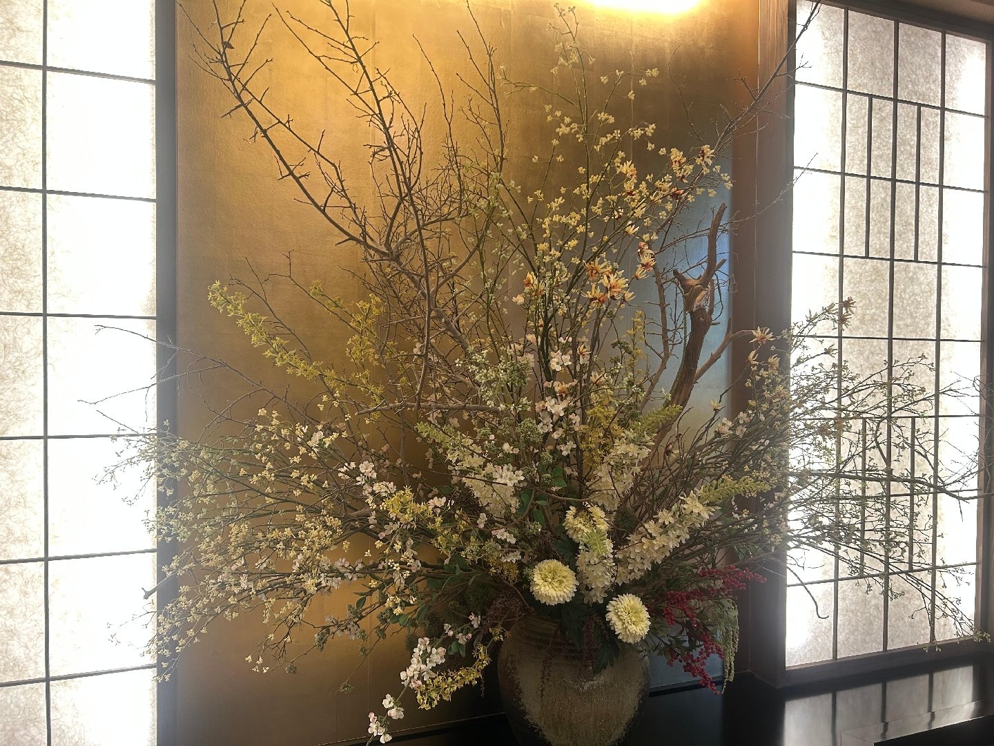 IMG_6768.jpeg