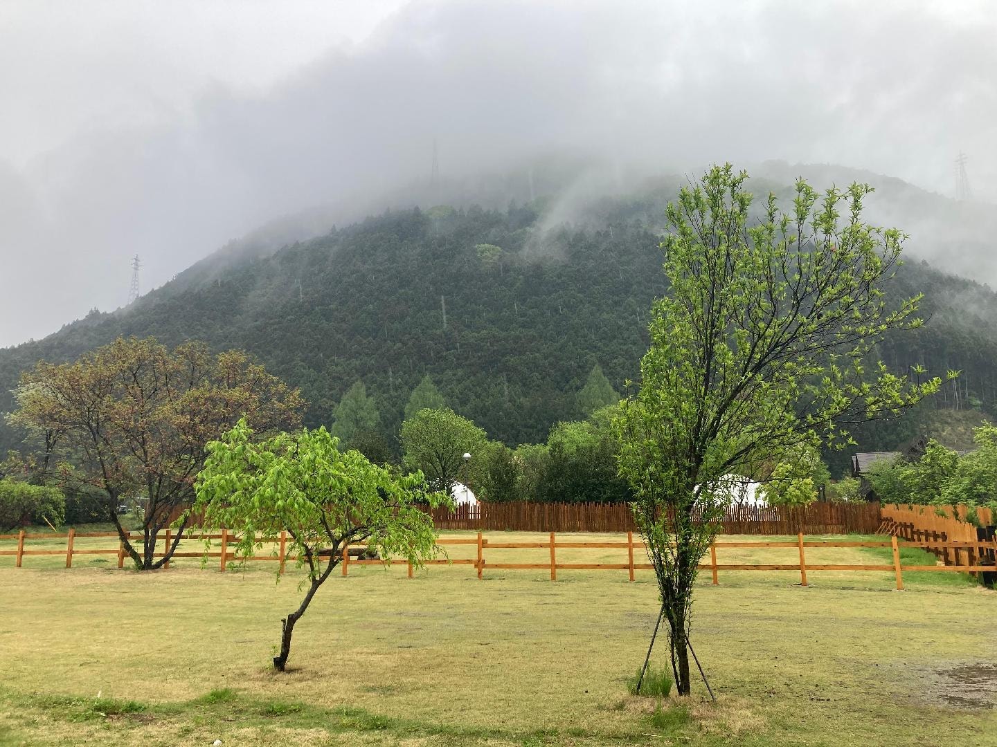 IMG_0044.jpeg