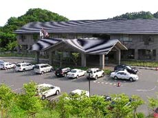 Appearance image