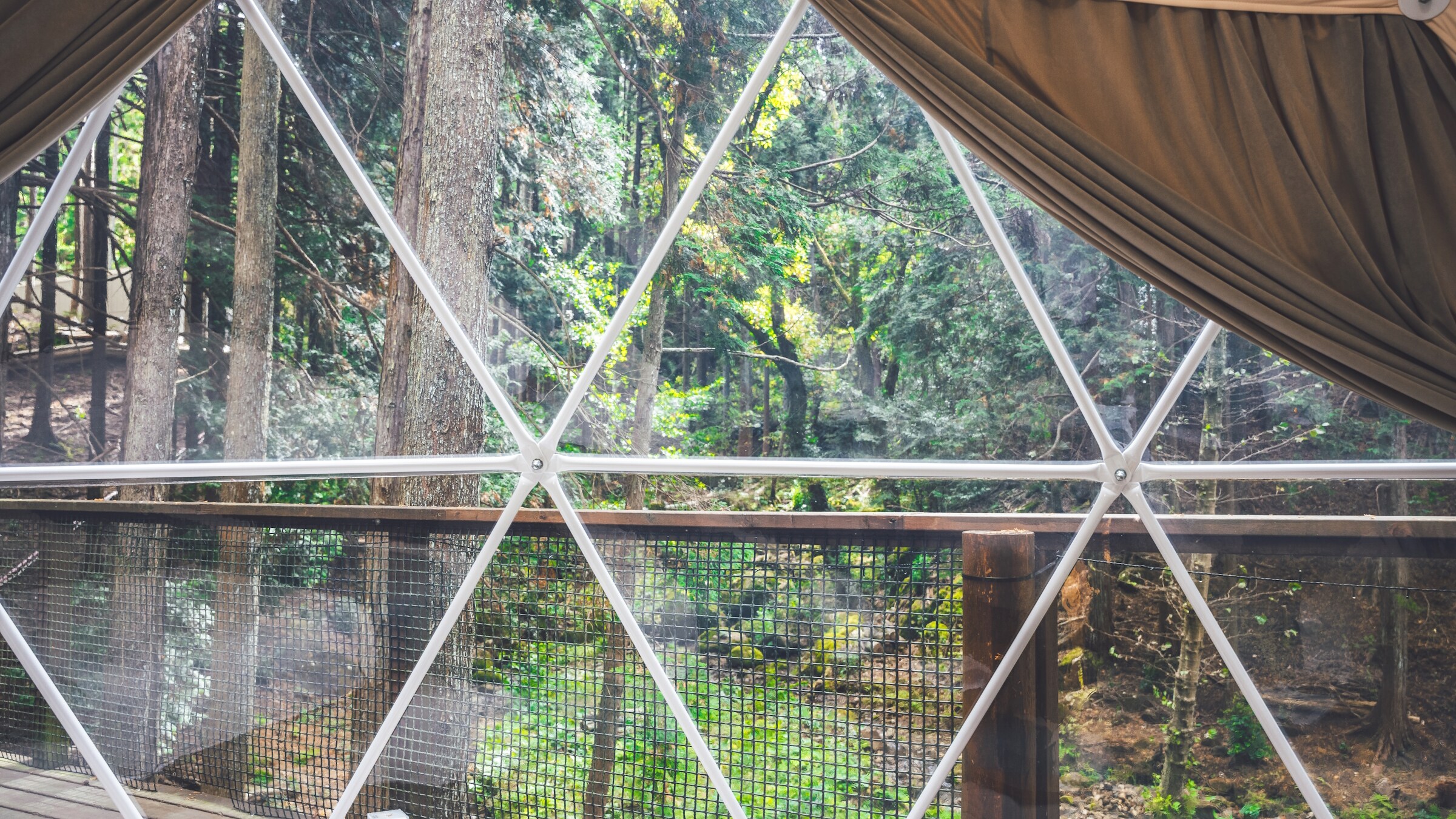 Standard dome tent - View from the room