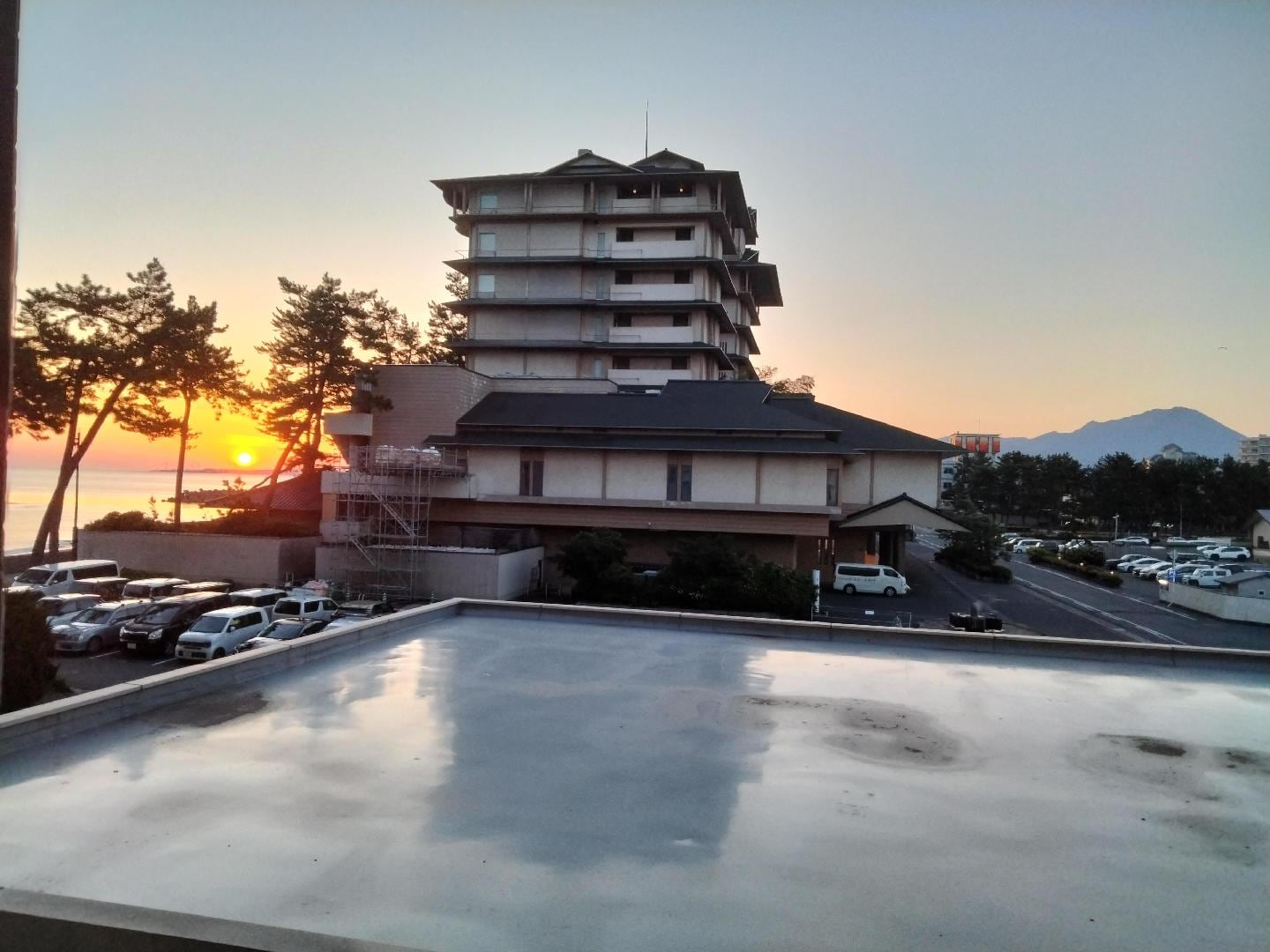 IMG20260511051143.jpg