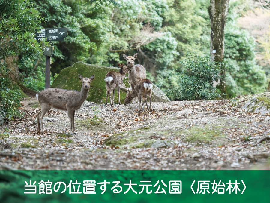 《Omoto Park》