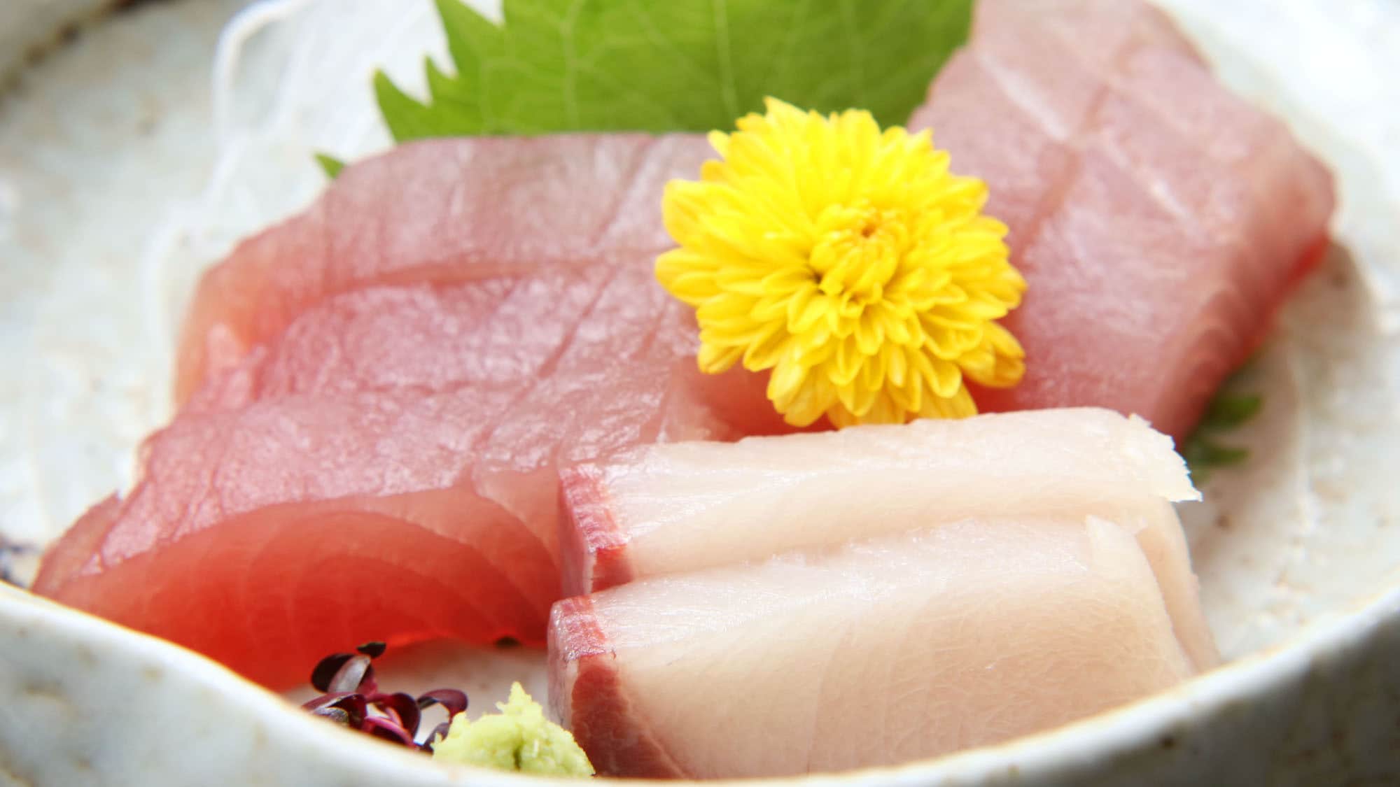 This is fresh sashimi caught in the waters off Kumano.