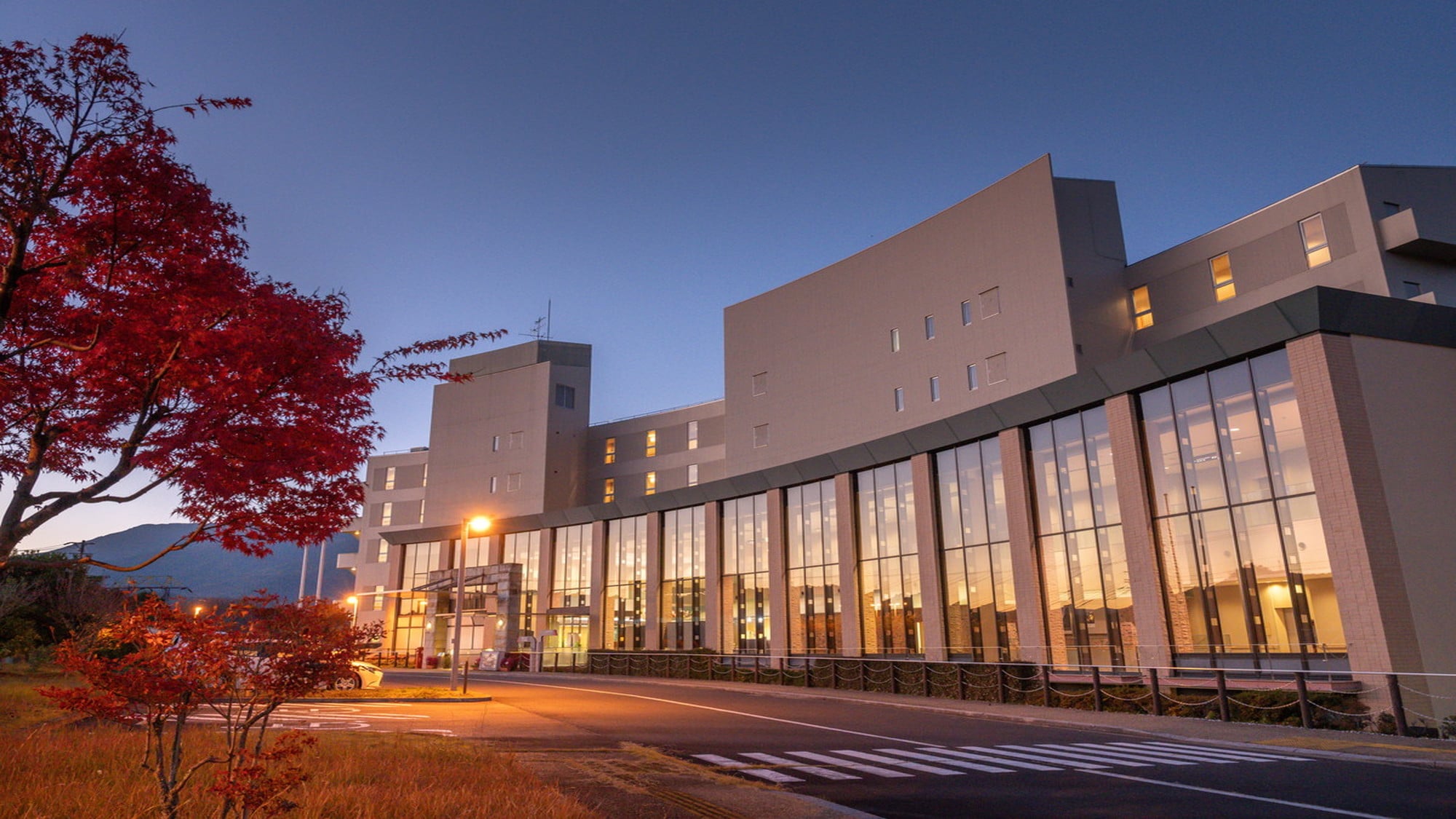 【외관】 환상적인 유즈리잎