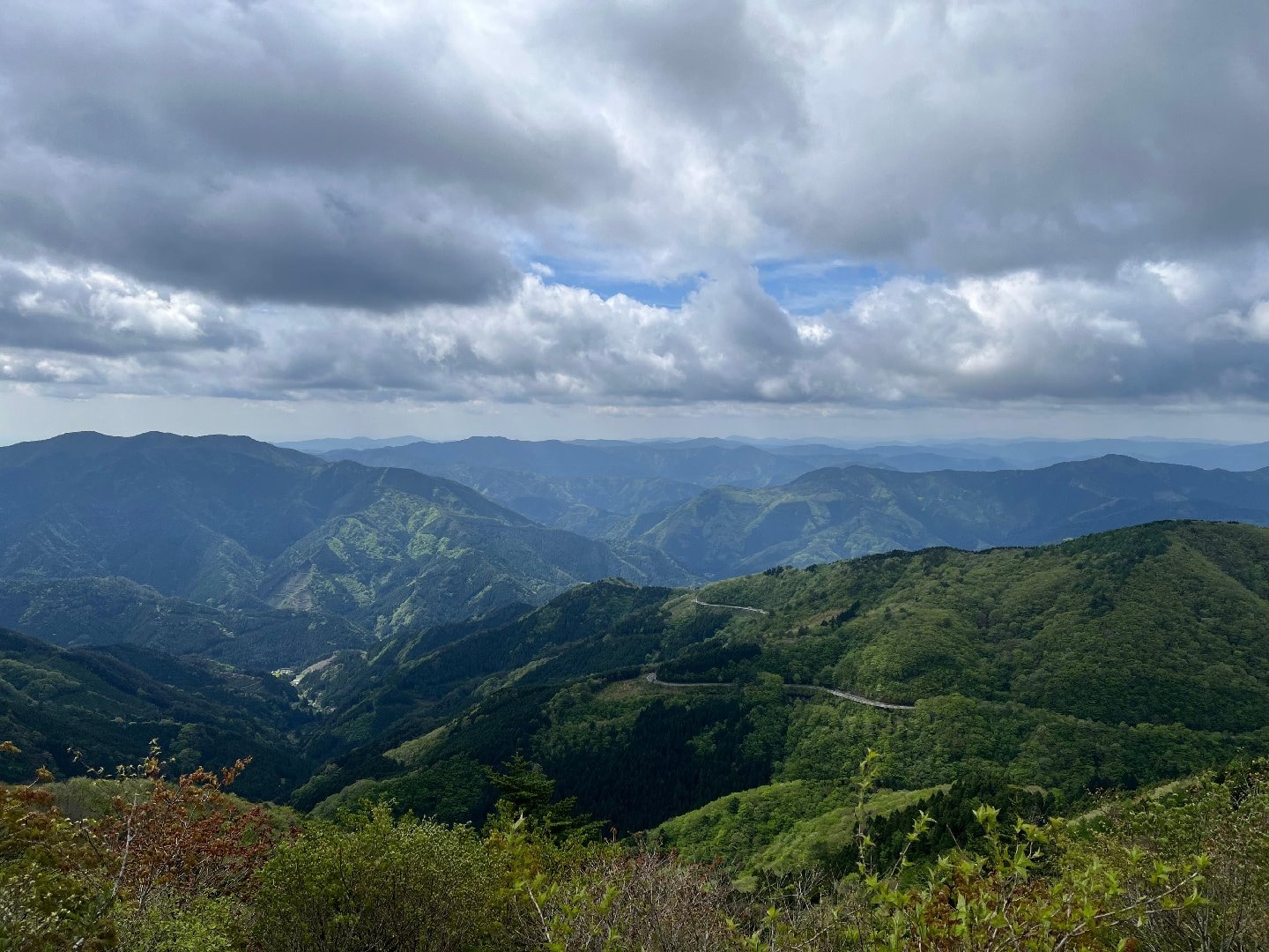 4055208C-2F17-43FF-8A51-B115622F5D48.jpeg
