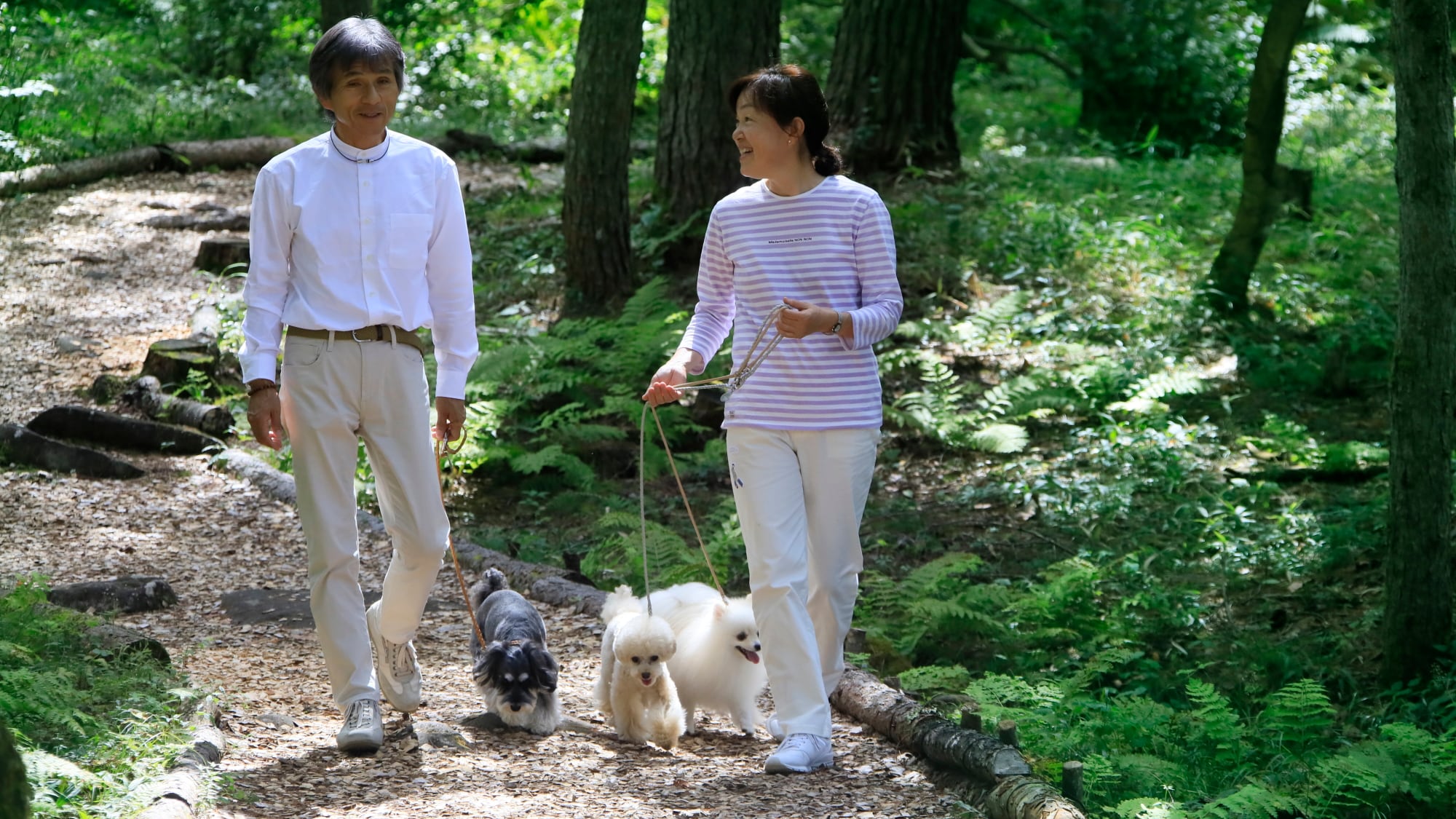 【숲의 산책로】 우드 칩이 깔린 편안한 산책 코스입니다.