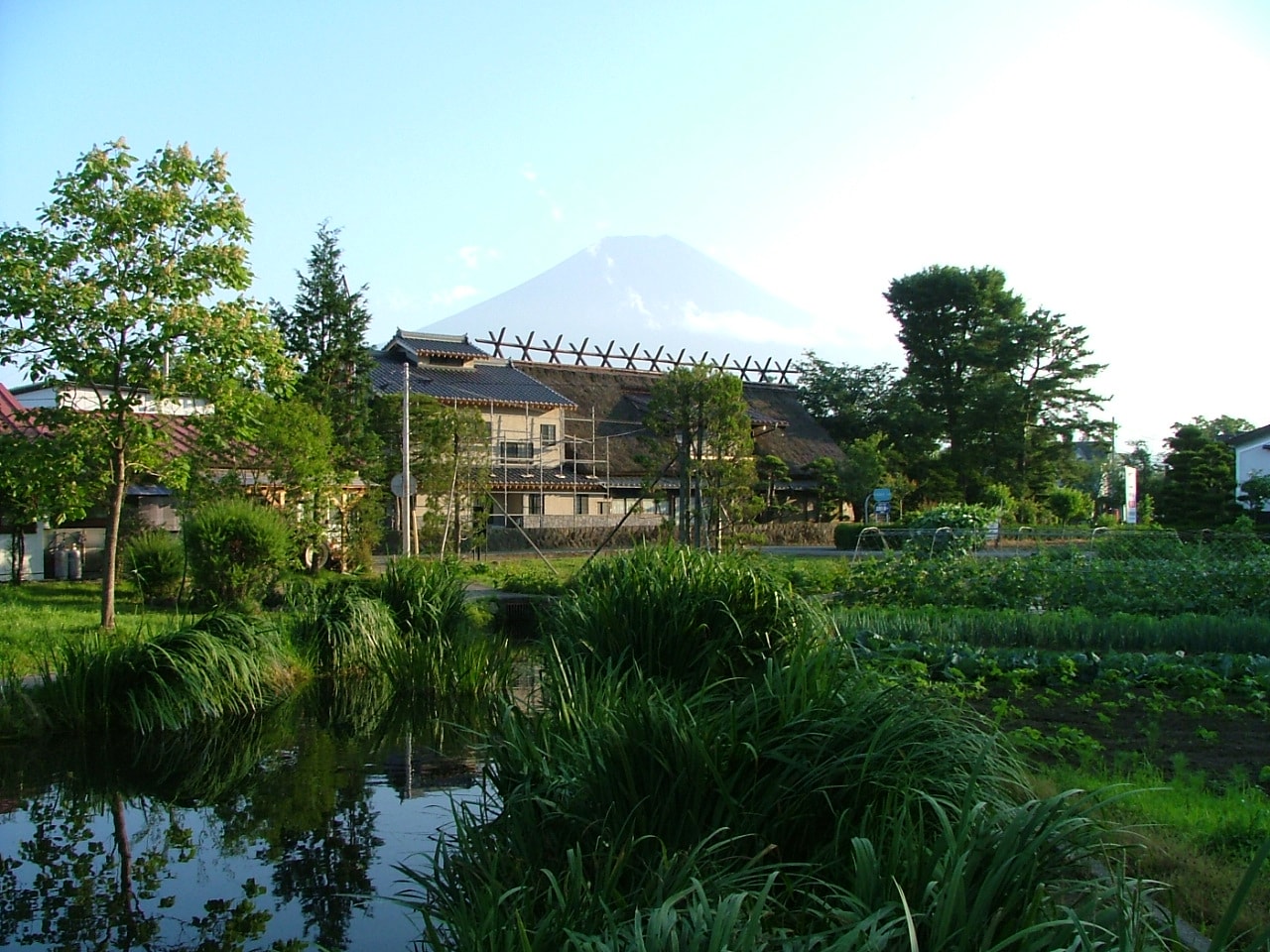 Mount Fuji in early summer from Lake Oshino