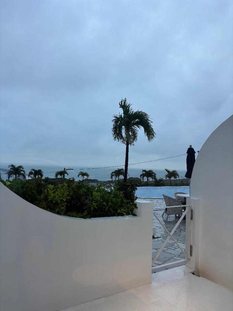 IMG_7923.jpeg
