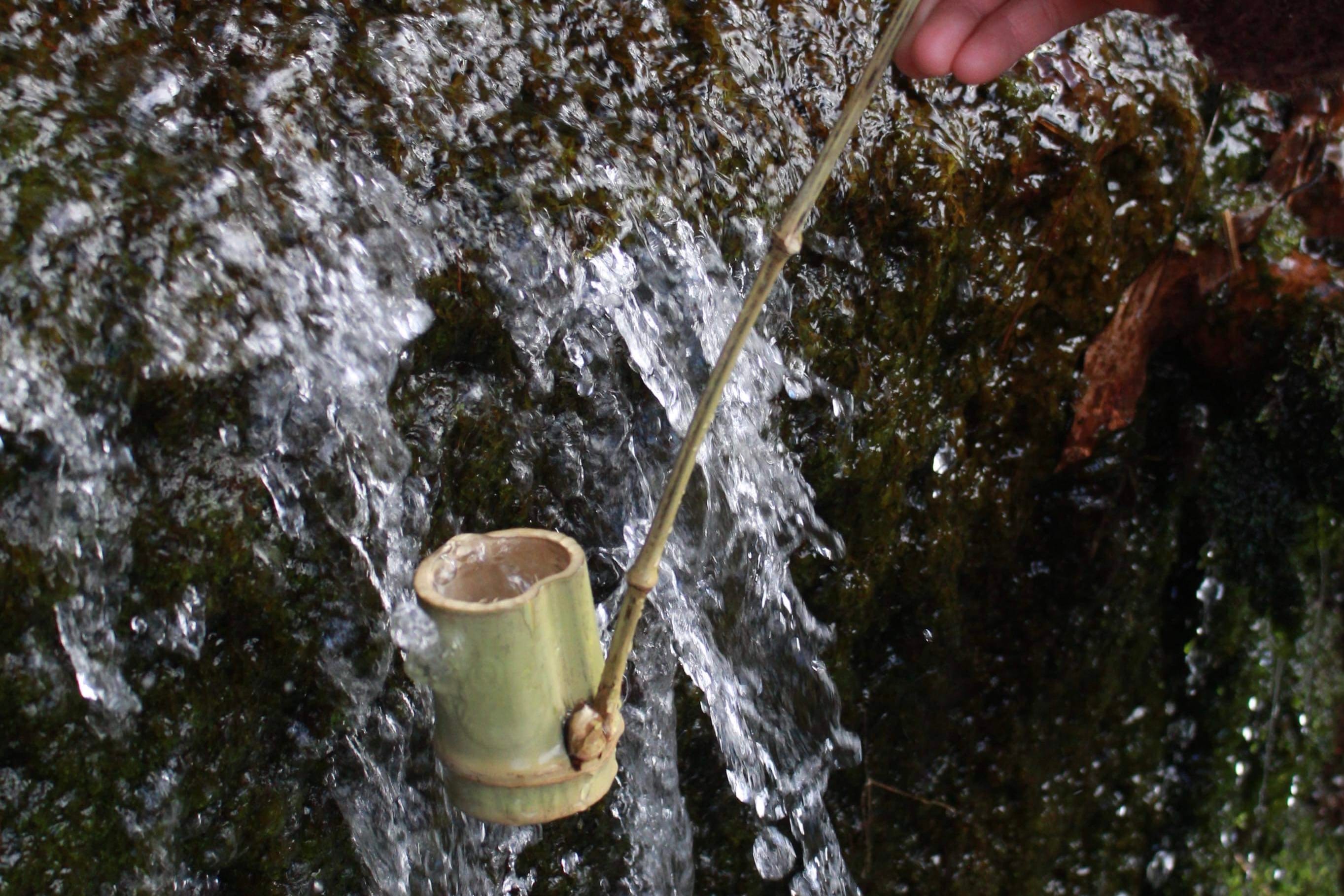 Spring water service