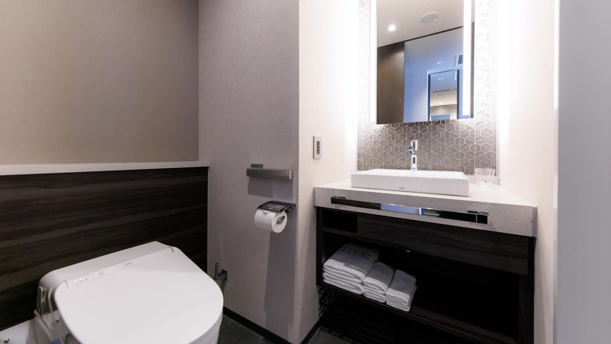 [Superior King] Toilet and washbasin