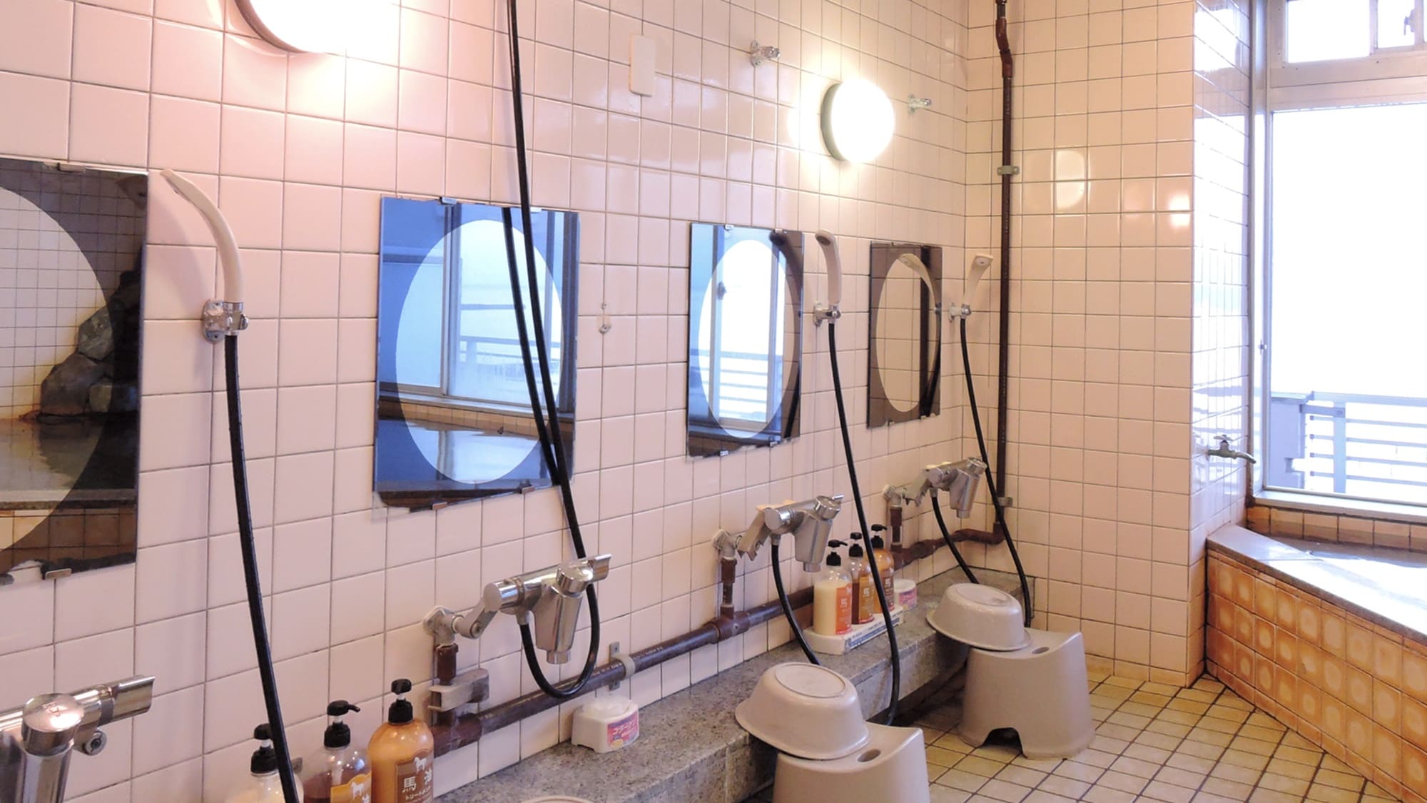 *[Example of the facility] Washing area in the observation bath