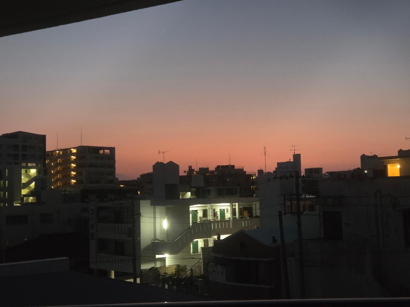 6551.jpg