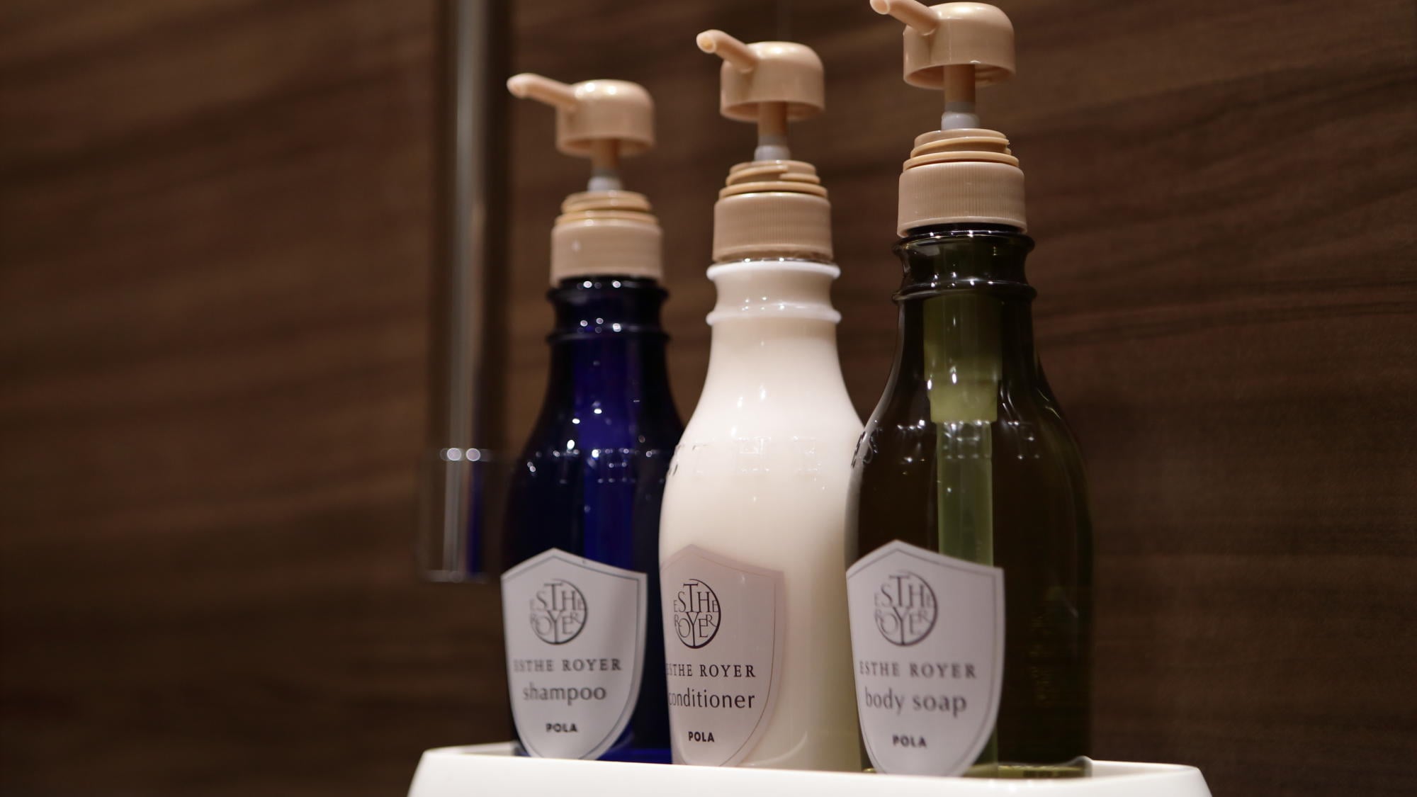 Examples of amenities