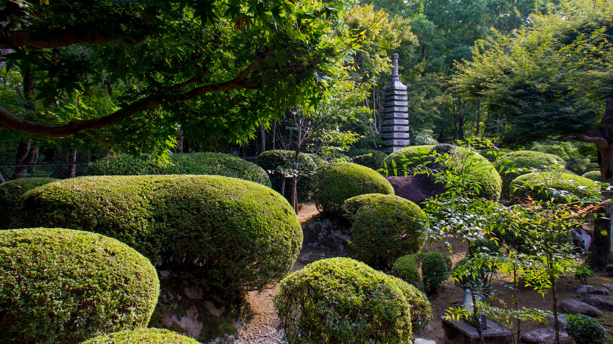 Dry landscape garden