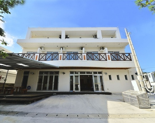 Appearance image