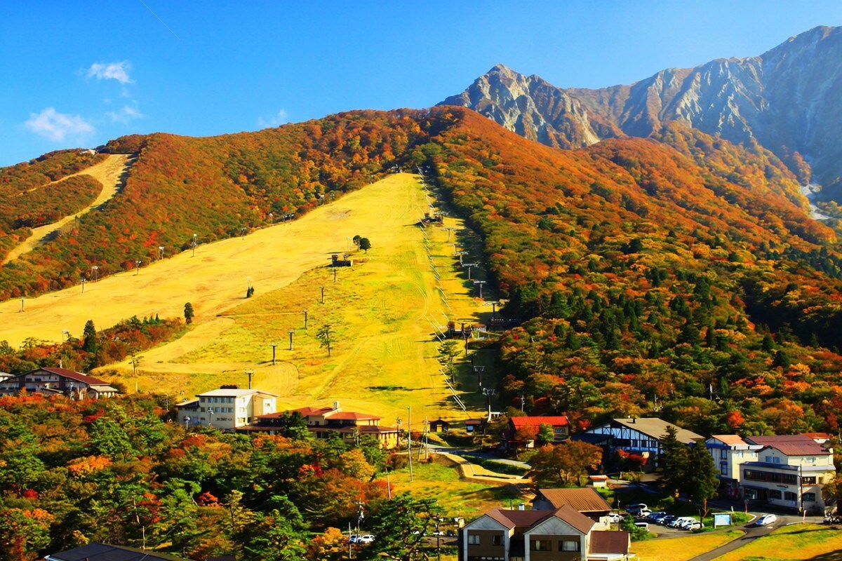 地点