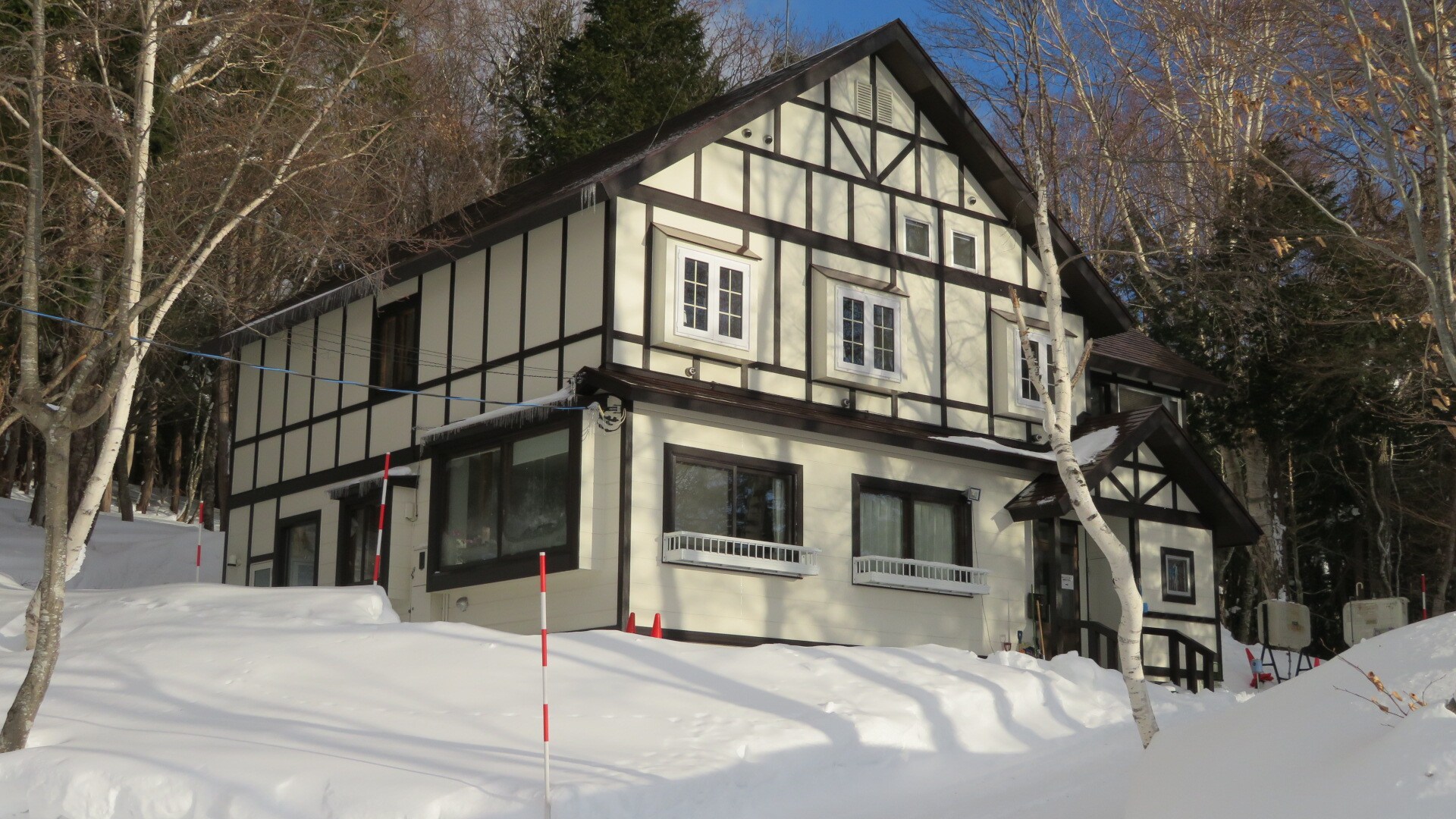 Winter Appearance