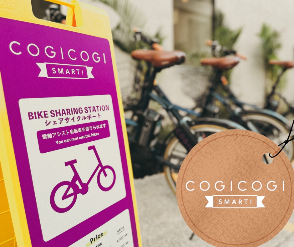 Bicycle rental (charged)