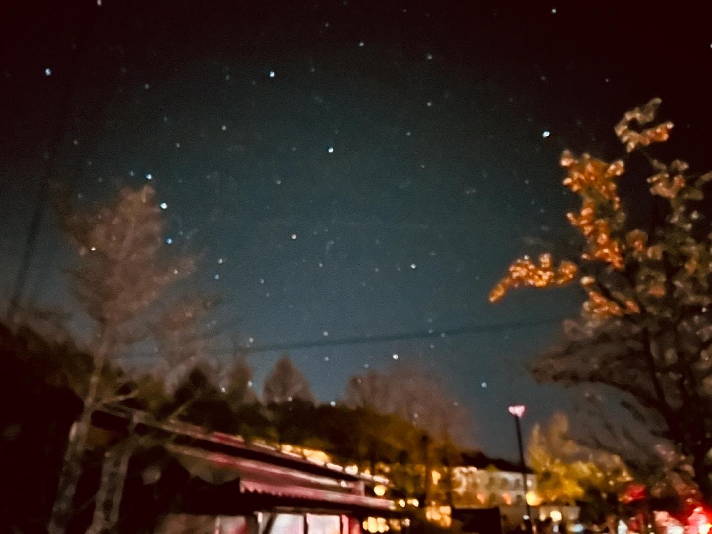 169F2755-778E-4C0E-A1EE-7D538D462B71.jpeg